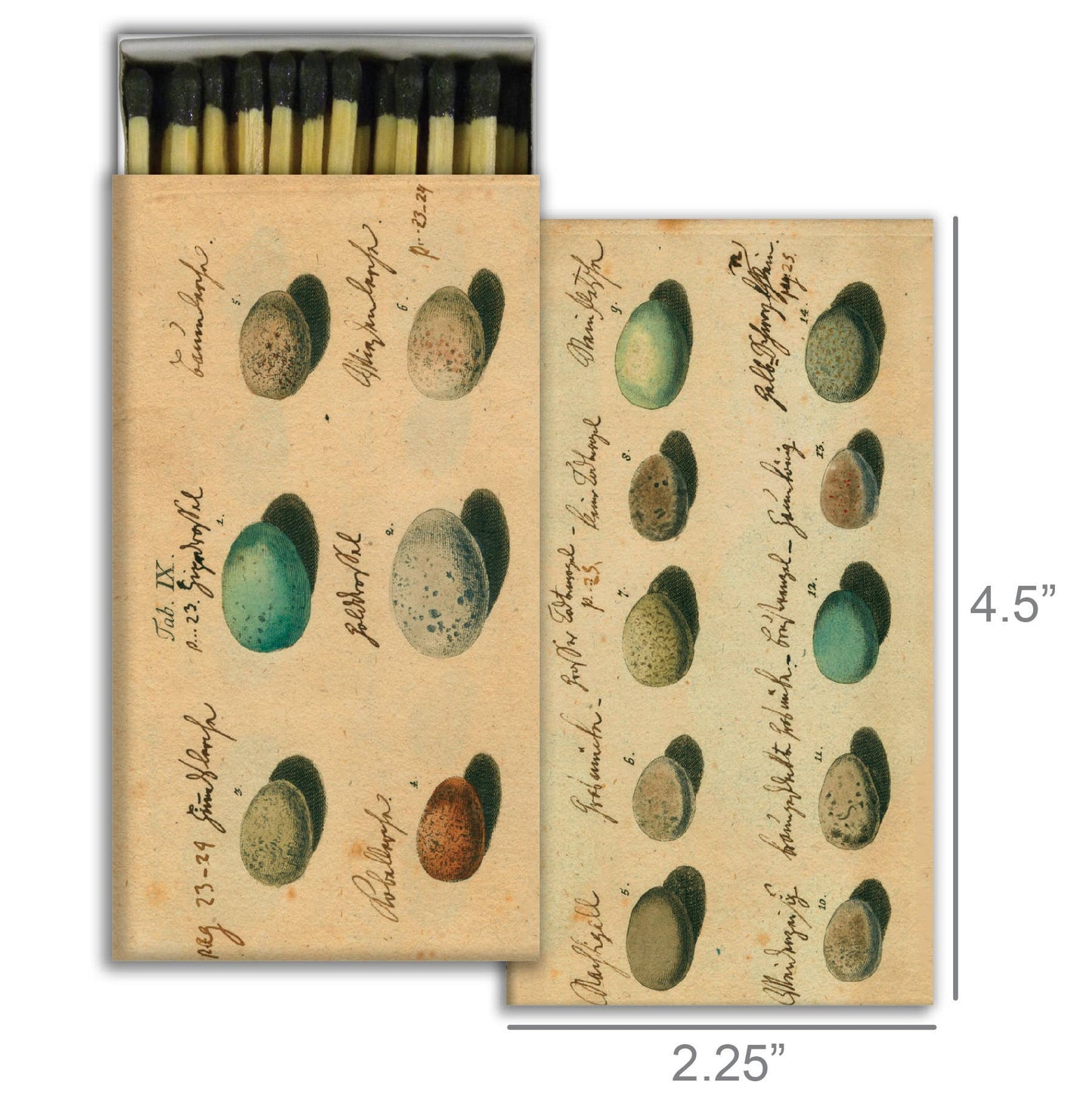 Matches - Eggs (4.25")