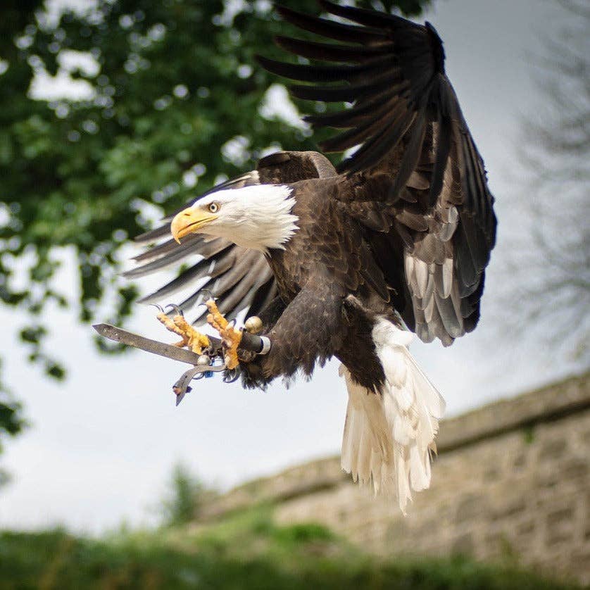 Finger Puppet - Felted Eagle