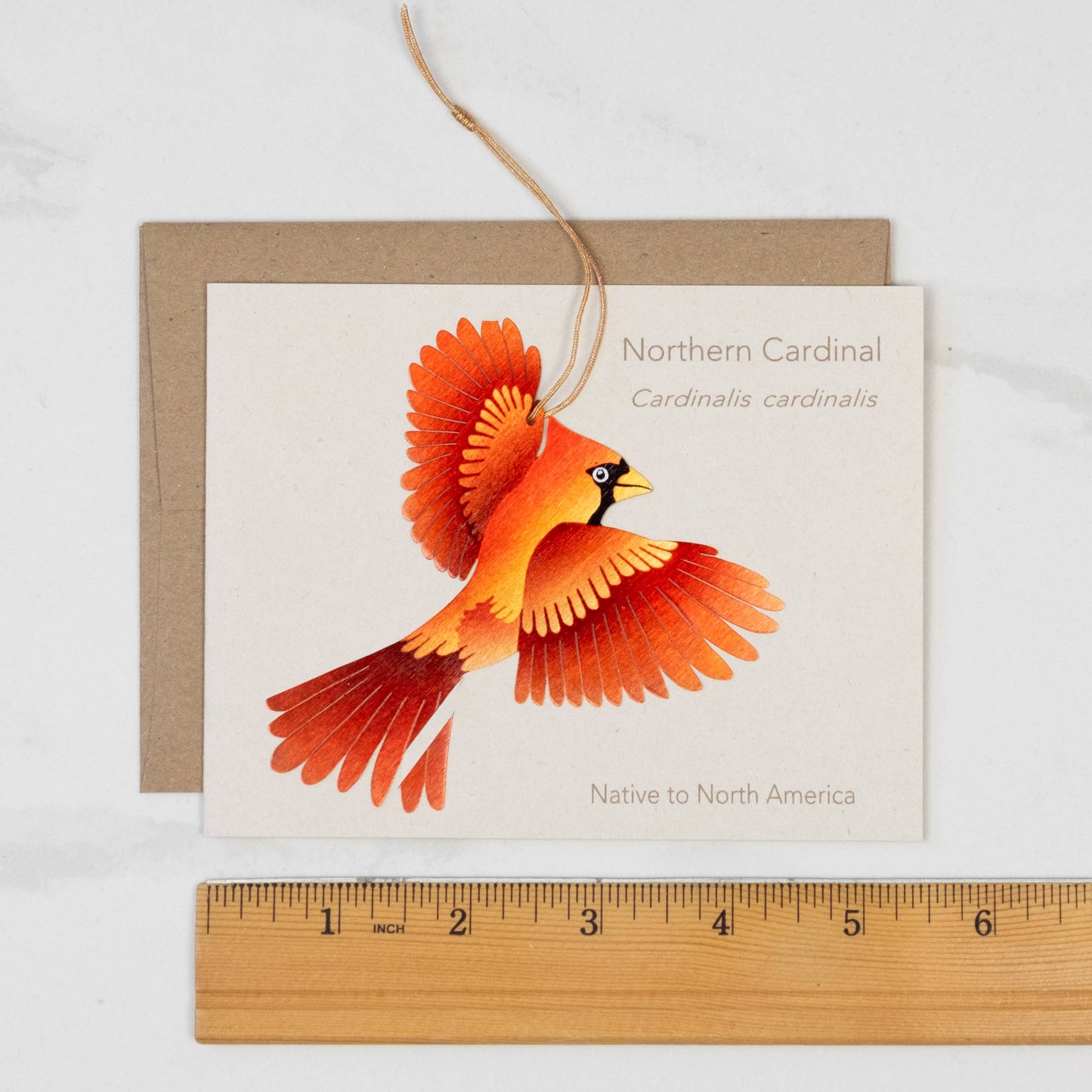 Greeting Card  - Cardinal Bronze Ornament + Notecard