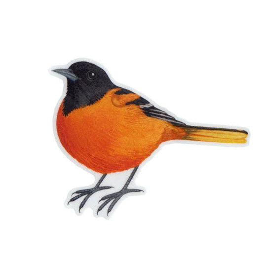 Sticker - Baltimore Oriole (Male)