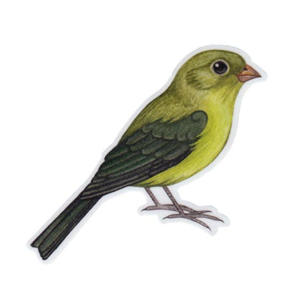 Sticker - Painted Bunting (Female)