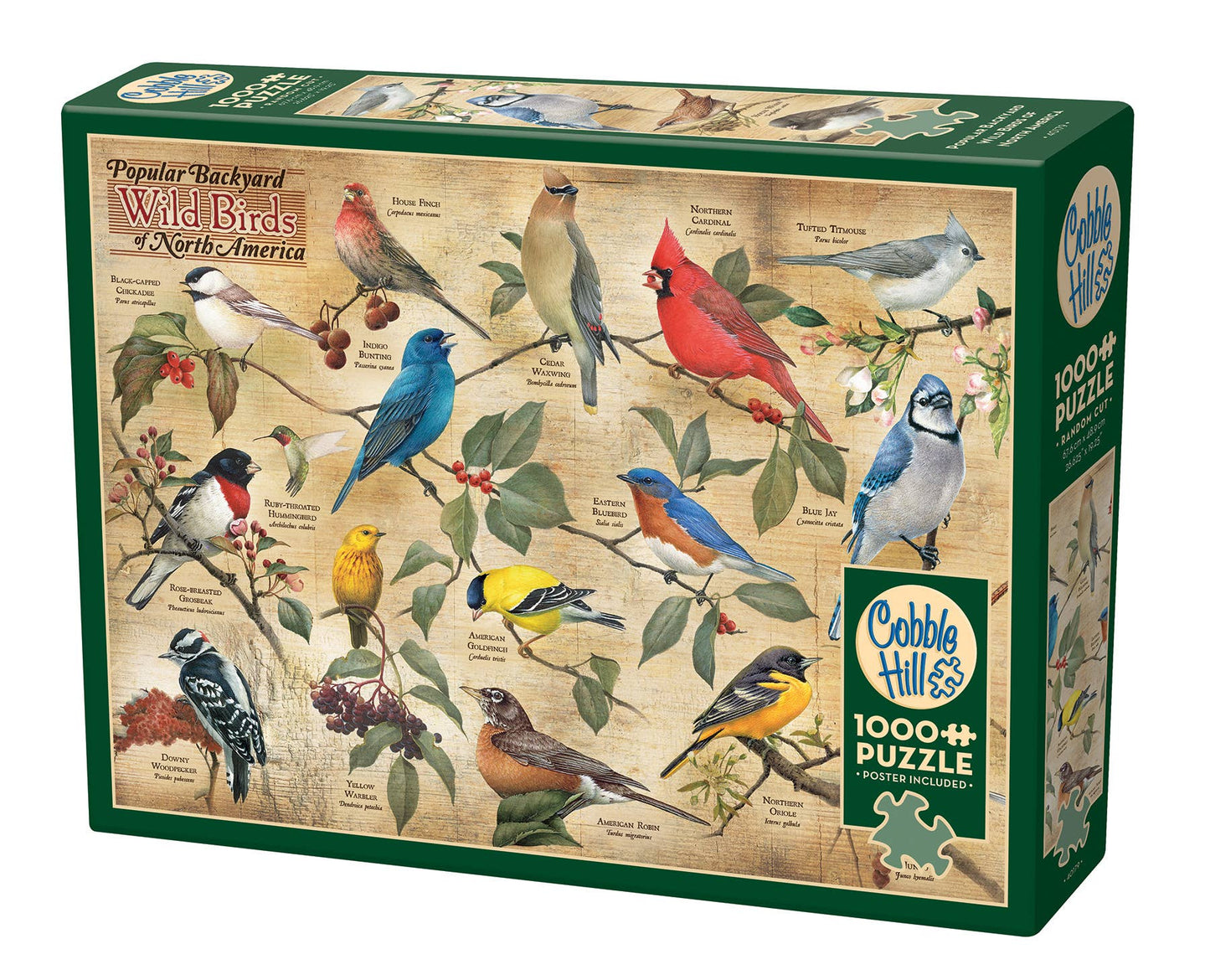 Puzzle - Popular Backyard Wild Birds of North America (1000-Piece)