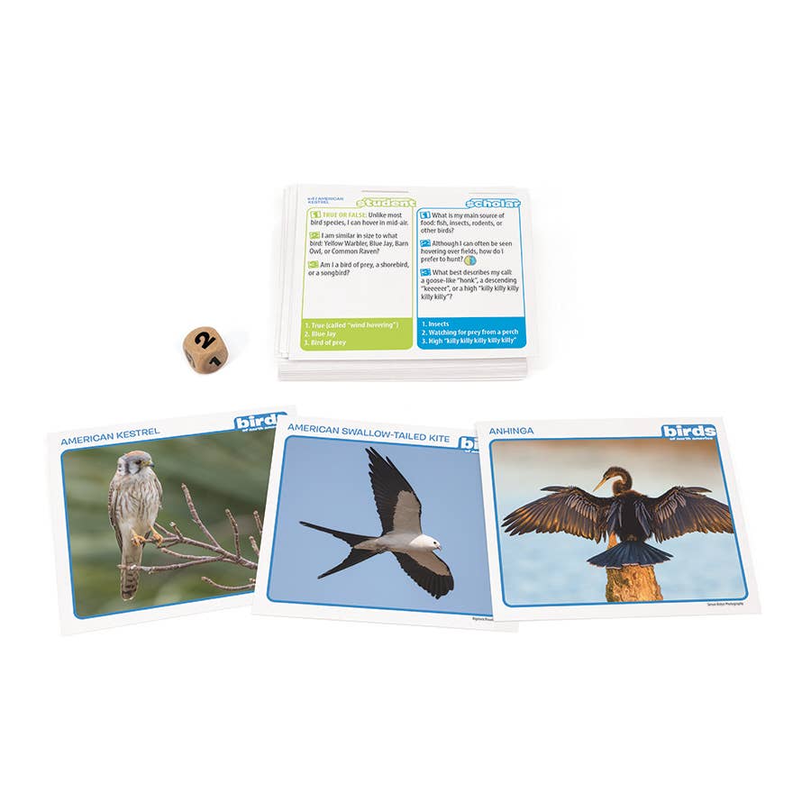 Game - Prof. Noggin's Birds of North America Card Game