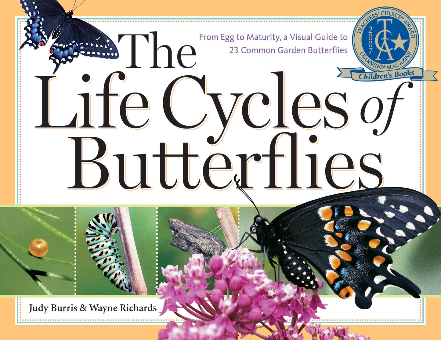 Book - The Life Cycles of Butterflies: From Egg to Maturity, a Visual Guide to 23 Common Garden Butterflies by Judy Burris & Wayne Richards (Paperback)