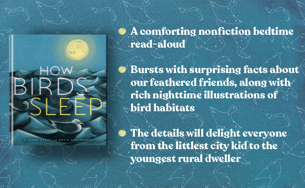 Book - How Birds Sleep by Sarah Pedry and David Obuchowski (Hardback)