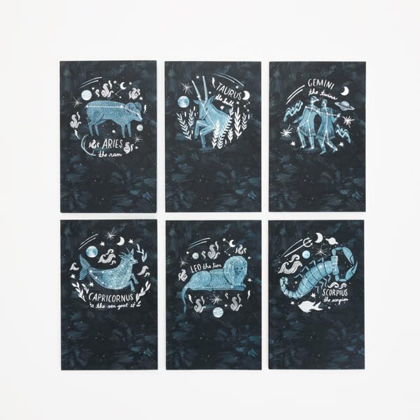 Paper - What We See in the Stars: A 12-Notebook Set by Kelsey Oseid (Box of 12)