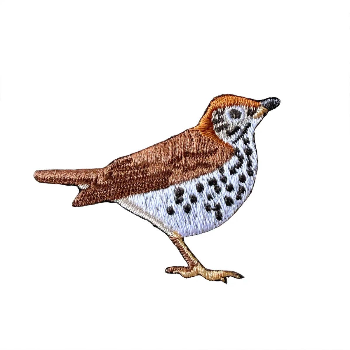 Bird Patch - Wood Thrush (#71 of collection)