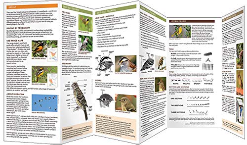 Folding Guide - Birding 101: A Folding Pocket Guide for Beginning Birders