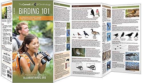 Folding Guide - Birding 101: A Folding Pocket Guide for Beginning Birders