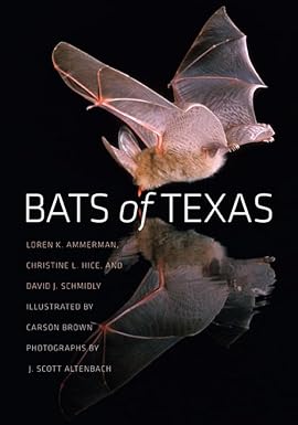 Book - Bats of Texas (Volume 43) (W. L. Moody Jr. Natural History Series) by Loren K. Ammerman, Christine L. Hice and David J. Schmidly (Flexibound)