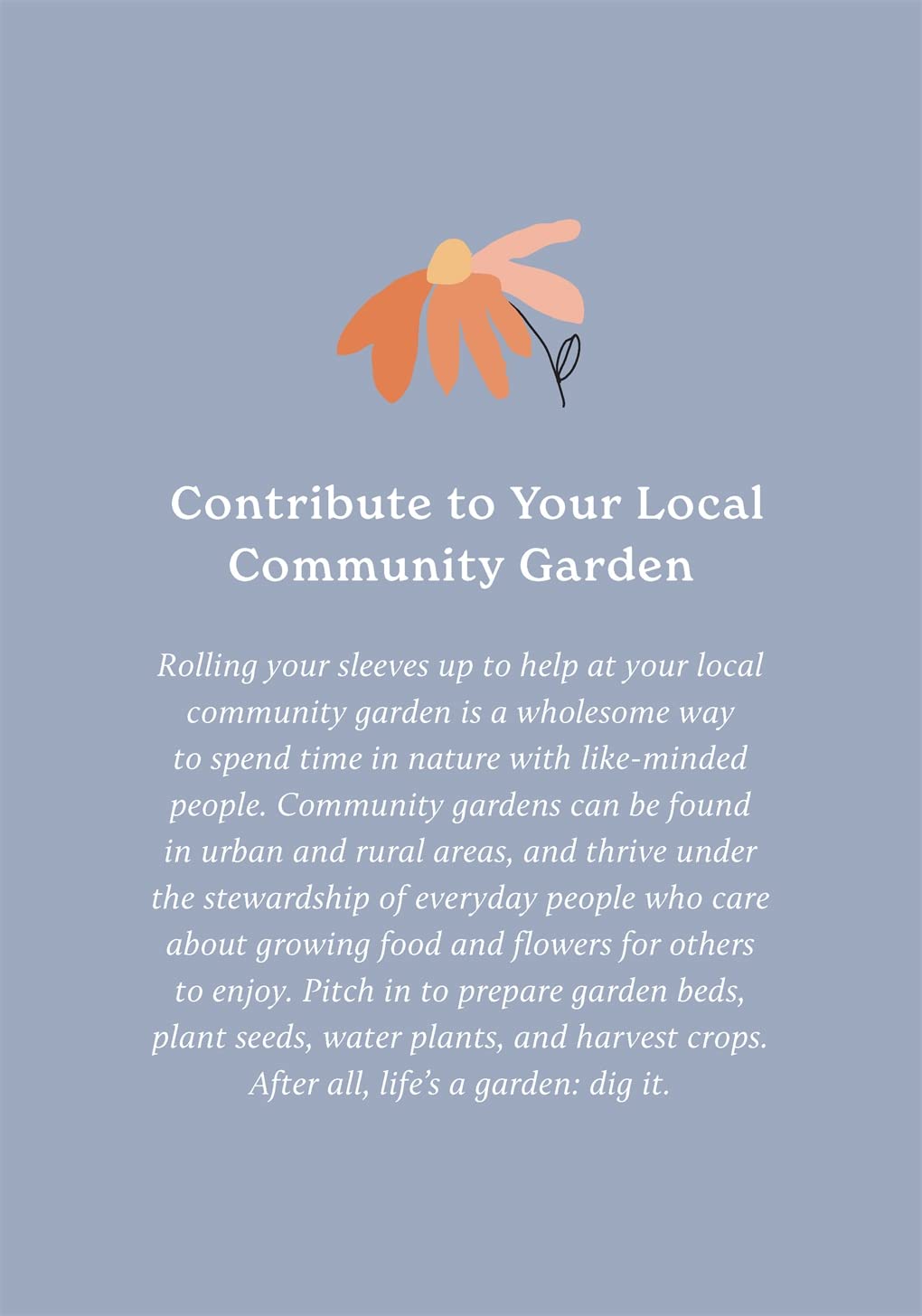 Gifts - Boxed Cards/Novelty Book - 100 Ways to Reconnect with Nature: Everyday Cards for Wherever You Live (Not Bound)