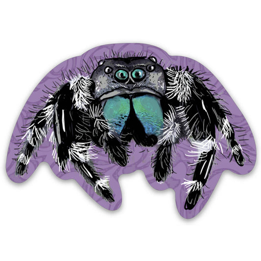Sticker - Jumping Spider