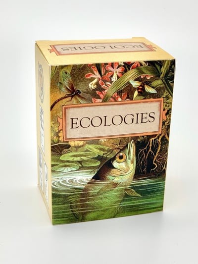Games - Ecologies Card Game (Main Pack)
