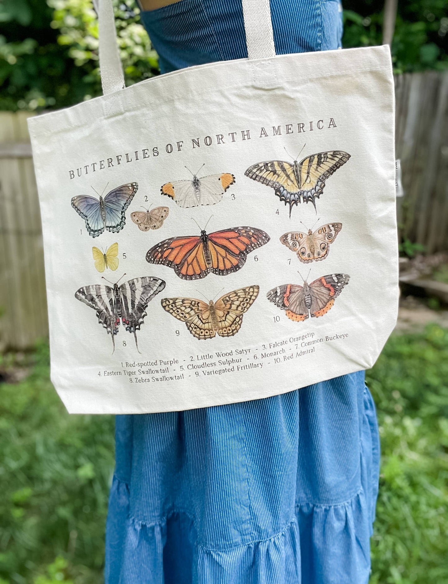 Tote Bag - Butterflies of North America