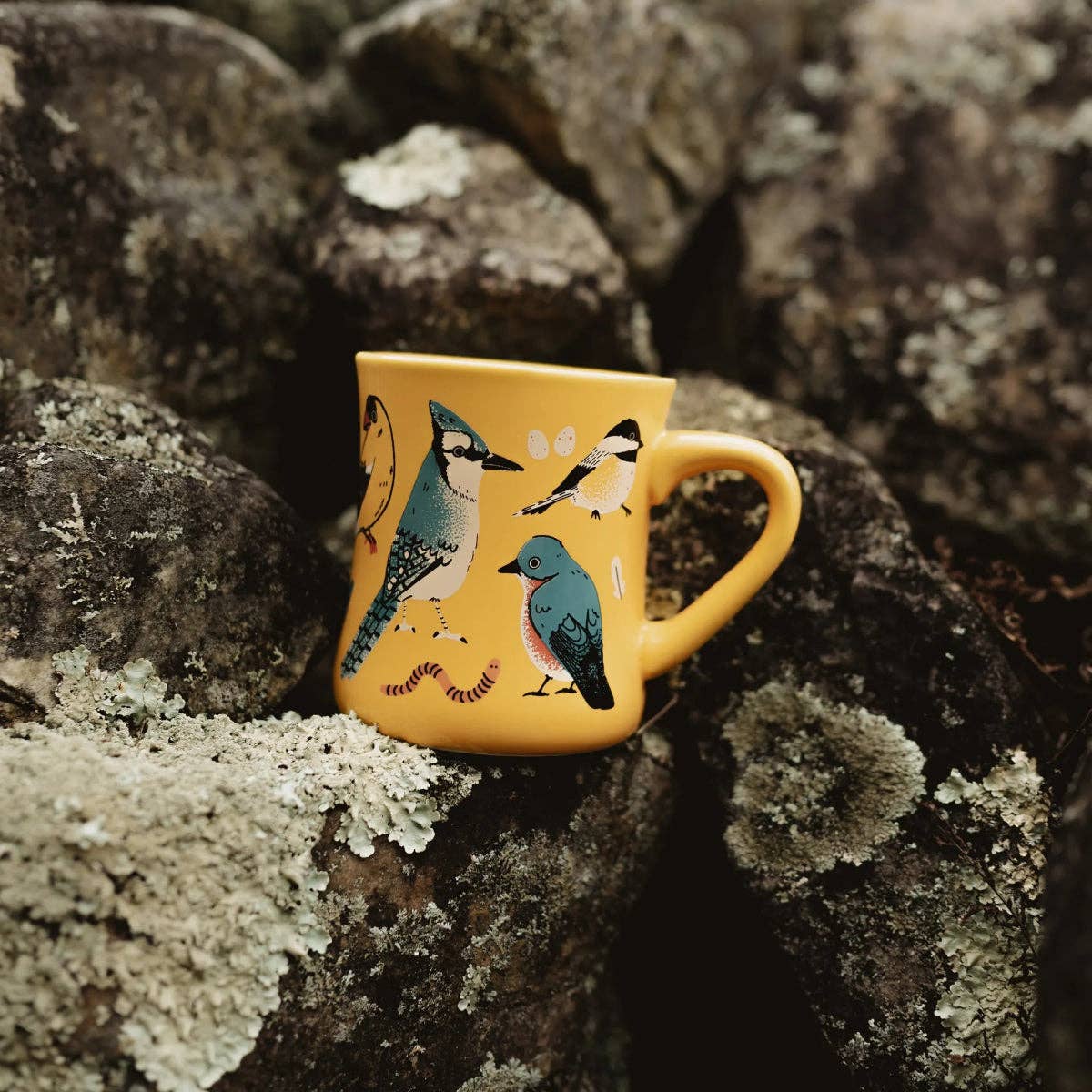 Mug - Eastern Backyard Birds
