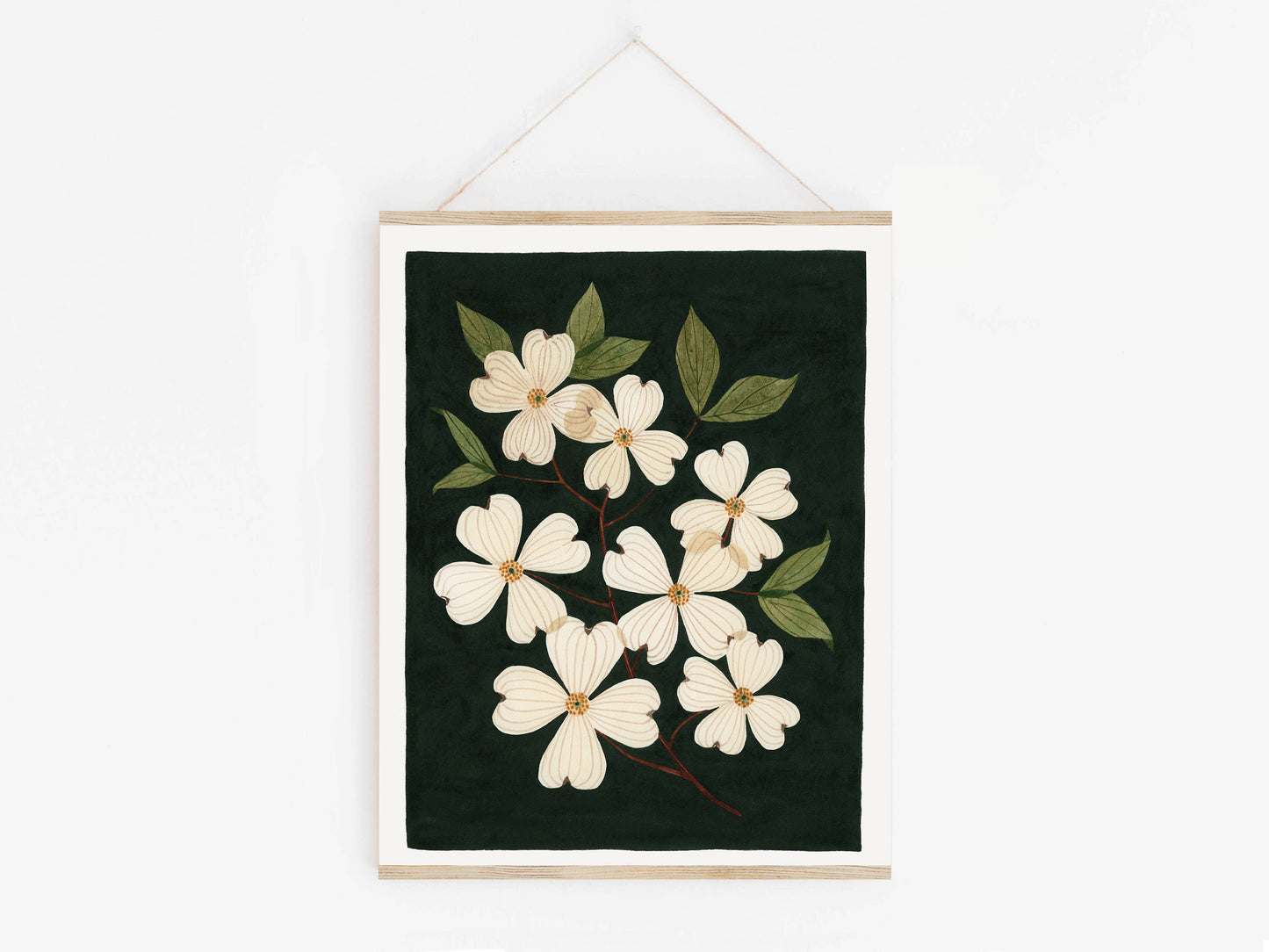 Unframed Art Print - "Pressed Dogwoods" by Leana Fischer