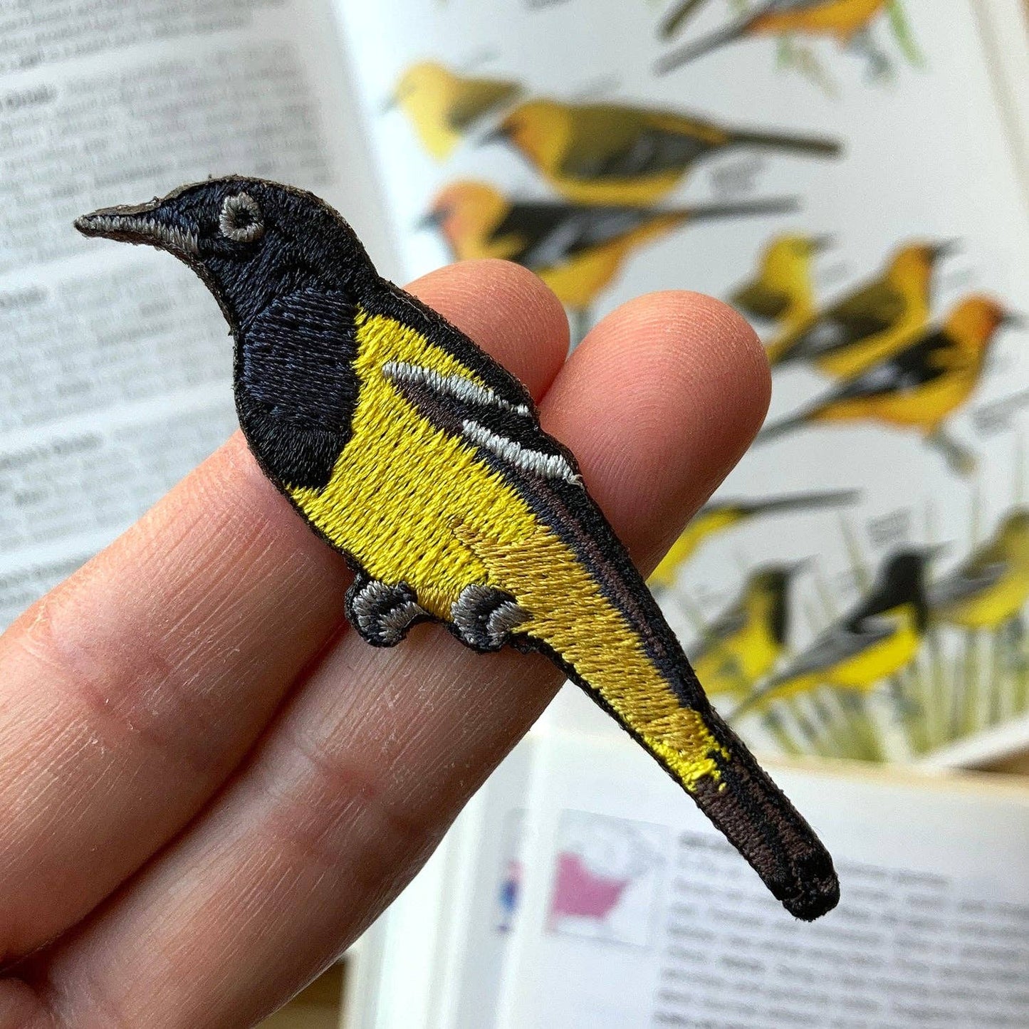 Bird Patch - Scott's Oriole (#42 of collection)