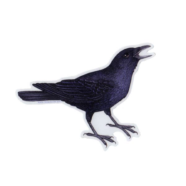 Sticker - American Crow Cawing