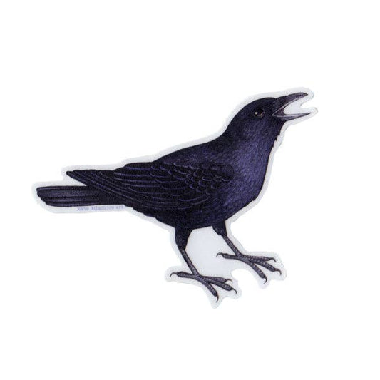 Sticker - American Crow Cawing