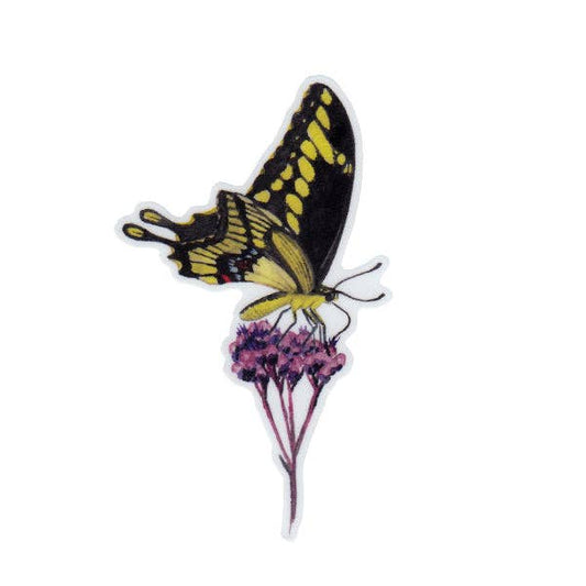 Sticker - Giant Swallowtail Butterfly
