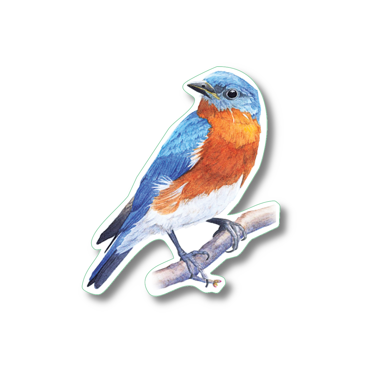 Sticker - Bluebird Nature Sticker, 2.5" x 3.5"