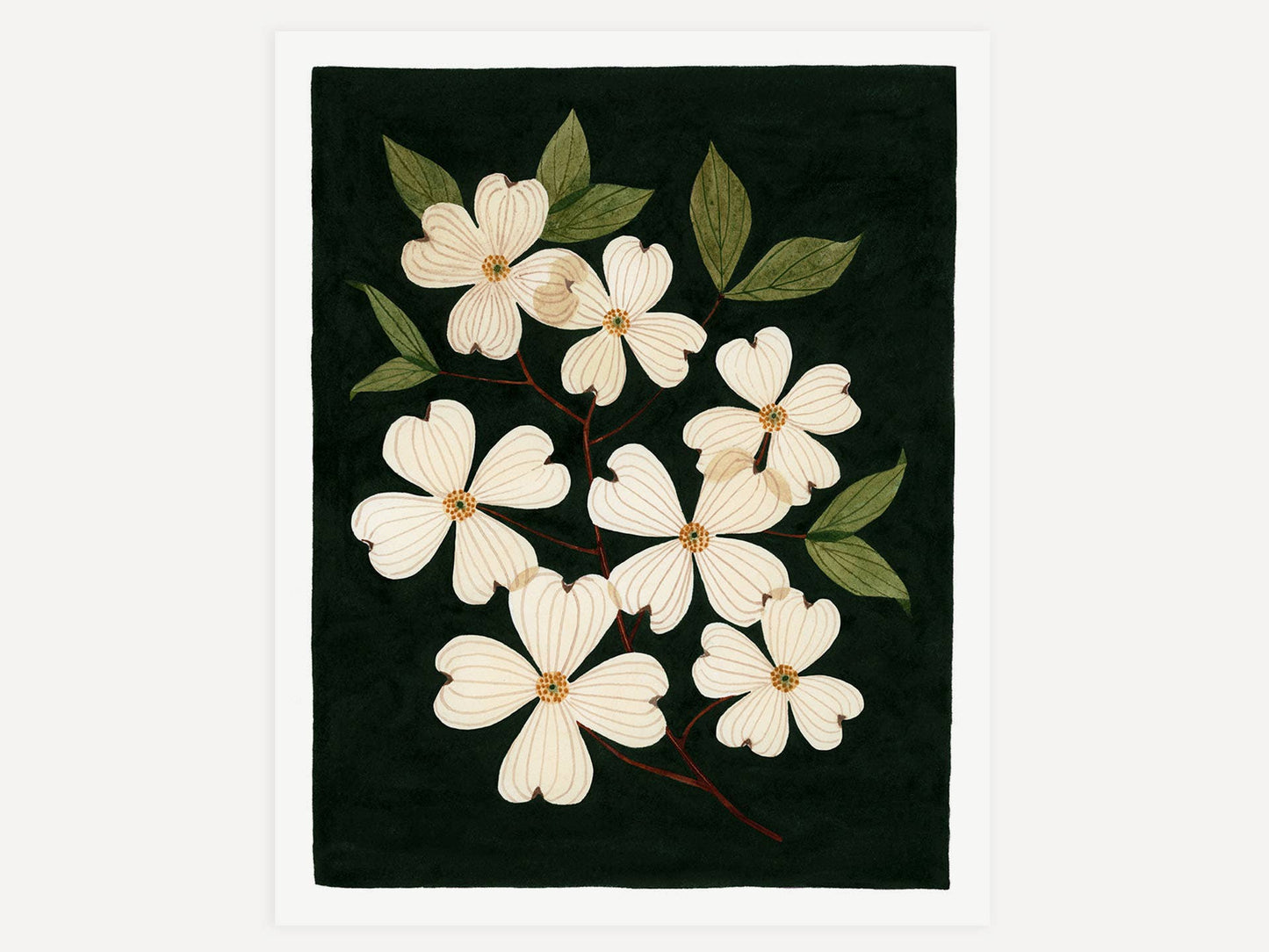 Unframed Art Print - "Pressed Dogwoods" by Leana Fischer