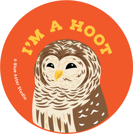 Pinback Button - Bird Owl - "I'm a Hoot"