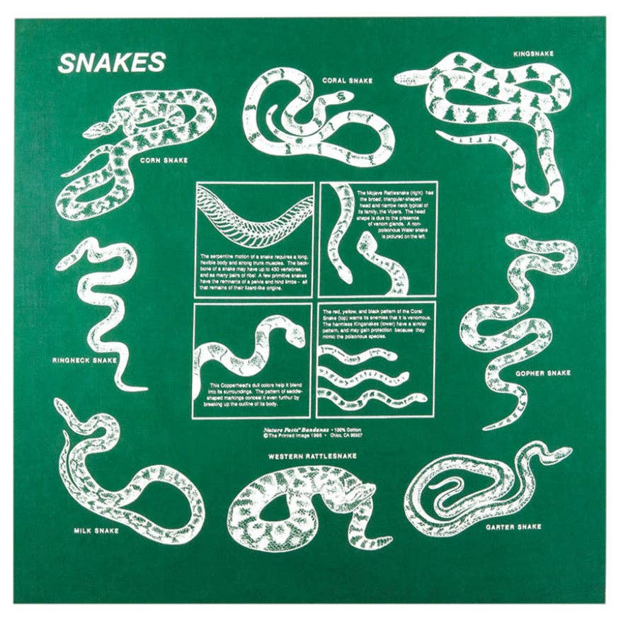 Bandana - Snakes (The Printed Image / Nature Facts)