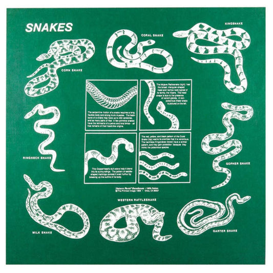 Bandana - Snakes (The Printed Image / Nature Facts)
