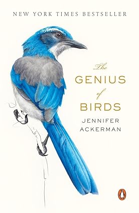 Book - Genius of Birds by Jennifer Ackerman (Paperback)