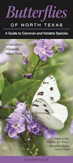 Folding Guide - Butterflies of North Texas: A Guide to Common & Notable Species