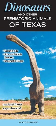 Folding Guide - Dinosaurs and other Prehistoric Animals of Texas