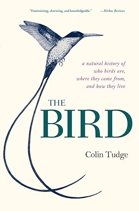 Book - Bird: A Natural History of Who Birds Are, Where They Came From, and How They Live by Colin Tudge (Paperback)