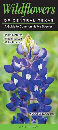 Folding Guide - Wildflowers of Central Texas: A Guide to Common Native Species