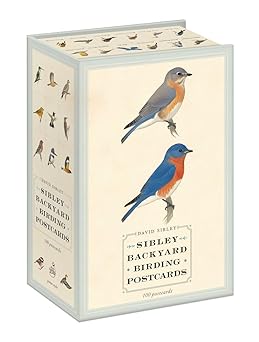 Paper - Sibley Backyard Birding Postcards: 100 Postcards (Sibley Birds) (Box of 100)