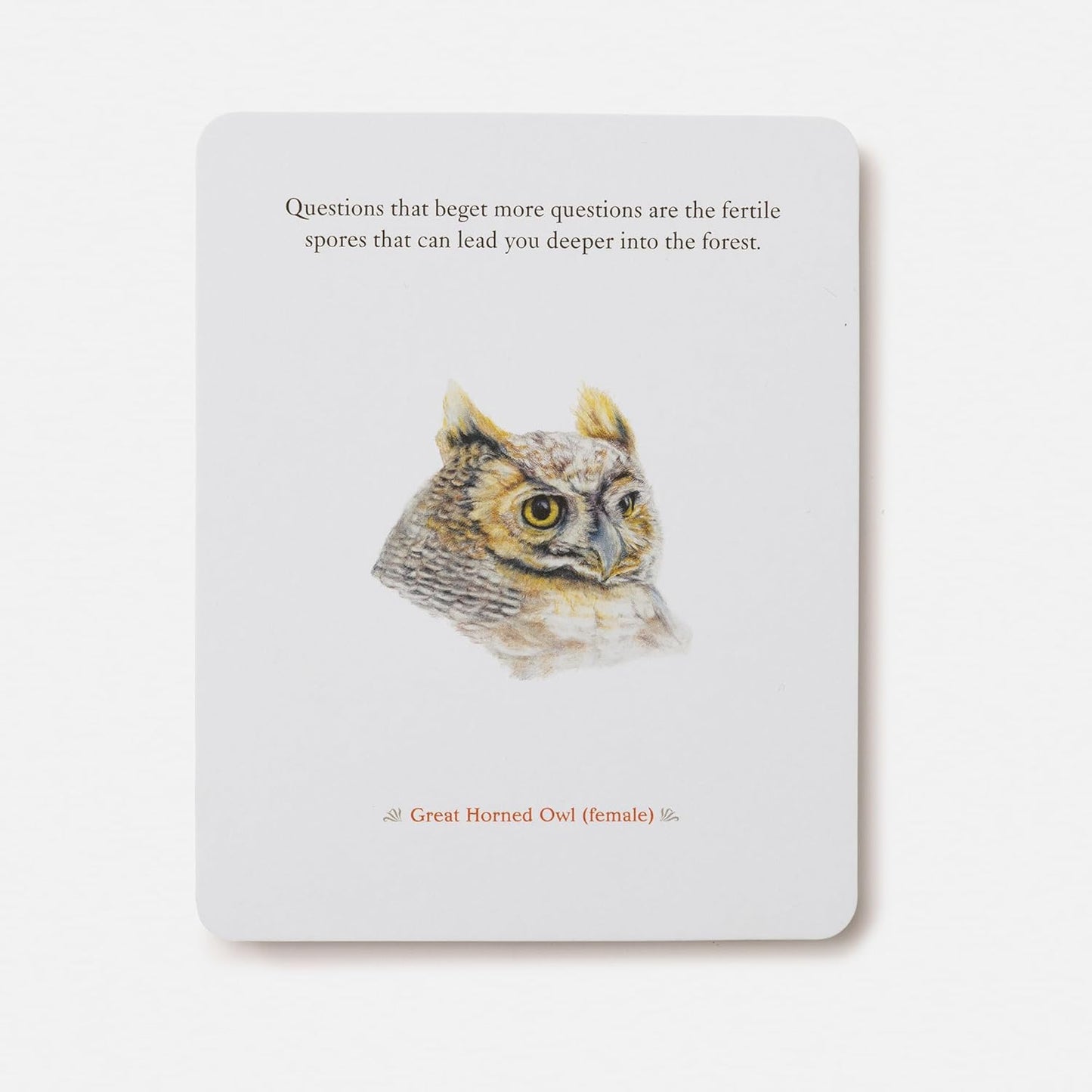 The Backyard Bird Deck: Affirmations and Reflections for Living Deeply in Nature: Affirmation Cards by Amy Tan