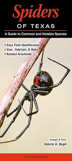 Folding Guide - Spiders of Texas: A Guide to Common and Notable Species