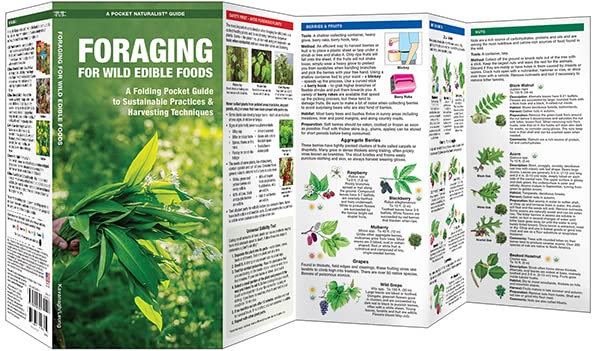 Folding Guide - Foraging for Wild Edible Foods: A Folding Pocket Guide to Sustainable Practices & Harvesting Techniques