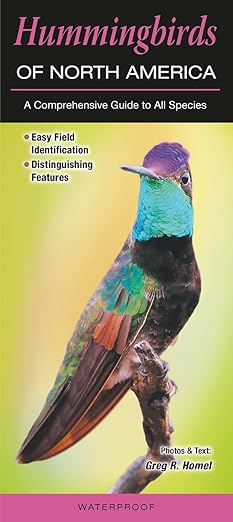 Folding Guide - Hummingbirds of North America: A Comprehensive Guide to All Species