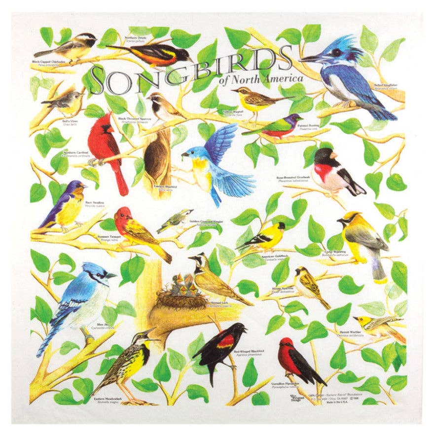 Bandana - Songbirds (The Printed Image / Nature Facts)