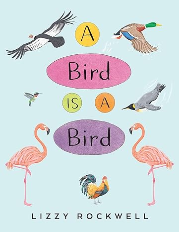 Book - A Bird is a Bird by Lizzy Rockwell (Paperback)