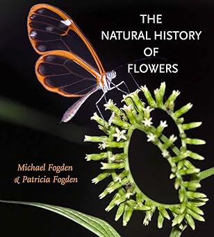 Book - Natural History of Flowers (Gideon Lincecum Nature and Environment Series) by Michael Fogden and Patricia Fogden (Hardback)