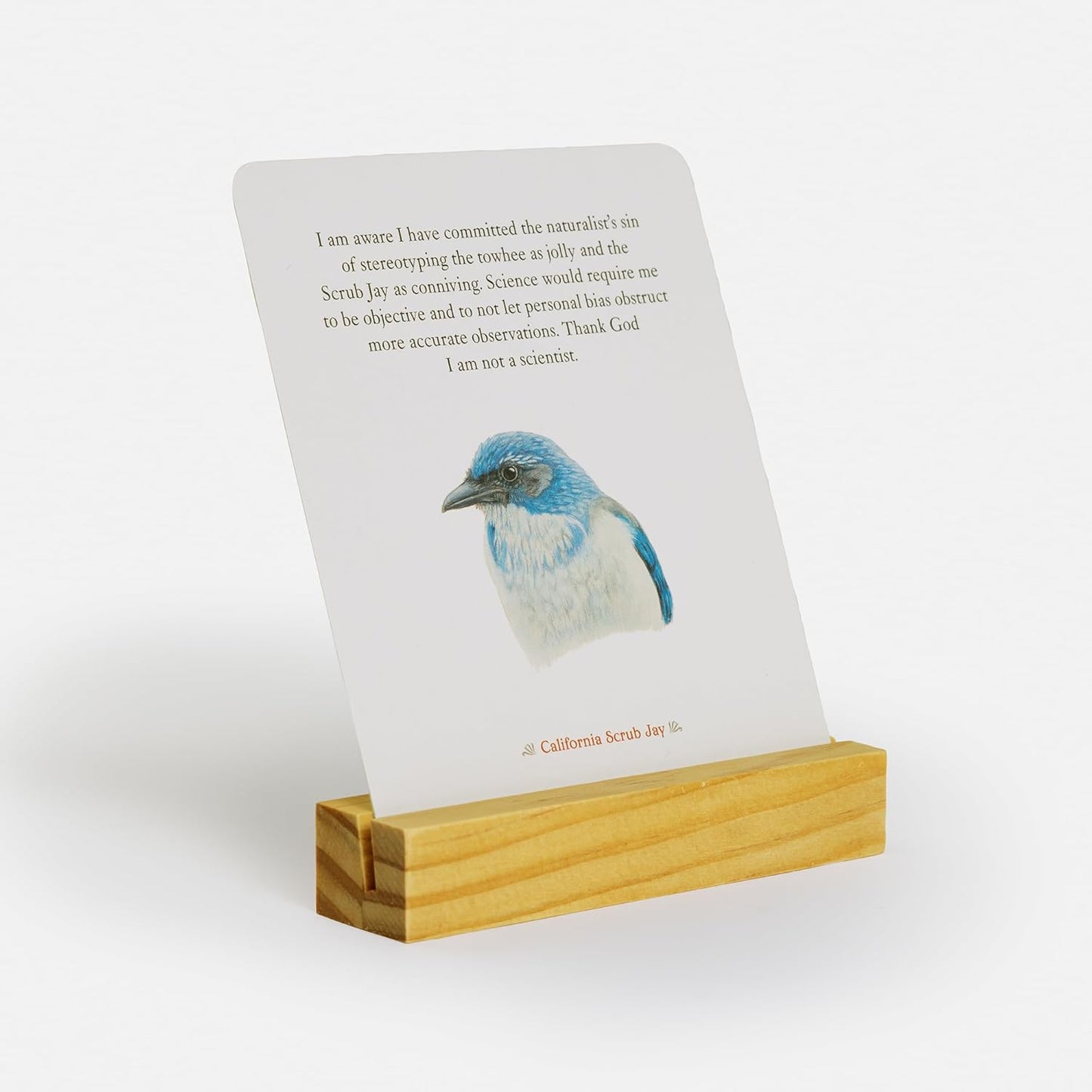The Backyard Bird Deck: Affirmations and Reflections for Living Deeply in Nature: Affirmation Cards by Amy Tan