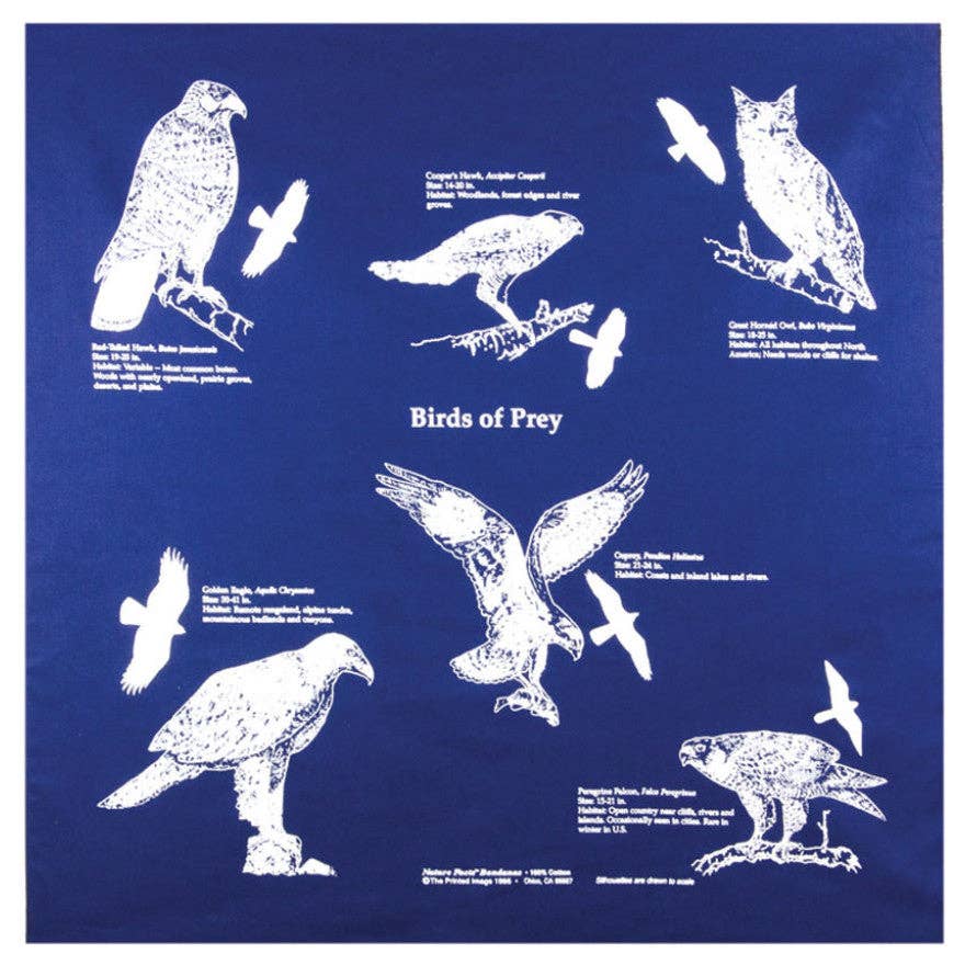 Bandana - Birds of Prey (The Printed Image / Nature Facts)