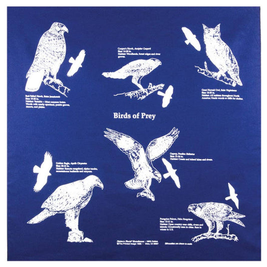 Bandana - Birds of Prey (The Printed Image / Nature Facts)