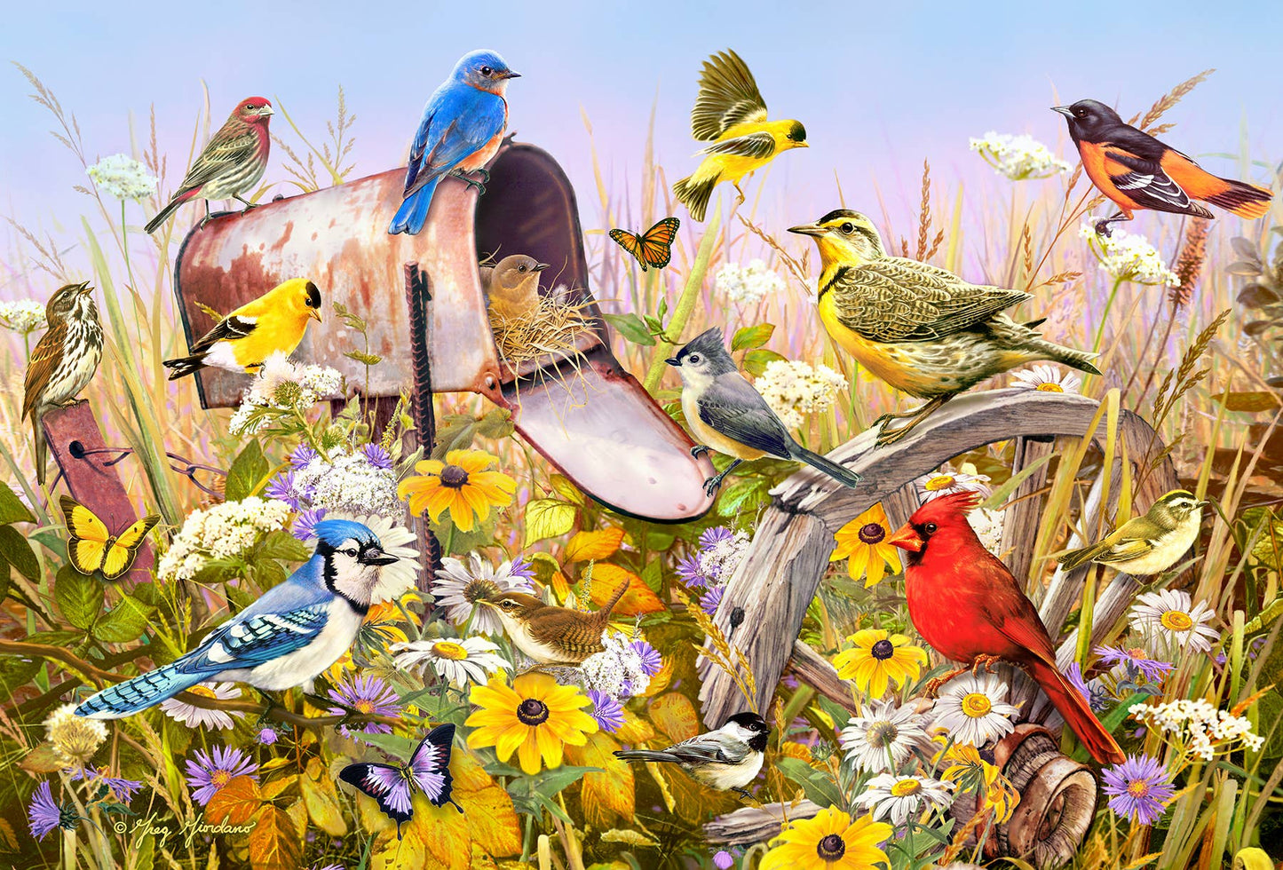 Puzzle - Field Song (2000 Piece)