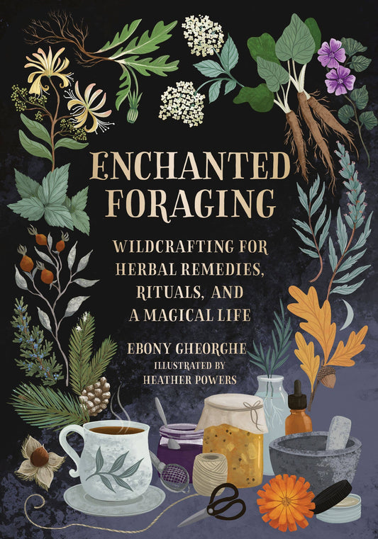 Book - Enchanted Foraging: Wildcrafting for Herbal Remedies, Rituals, and a Magical Life by Ebony Gheorghe (Hardback)