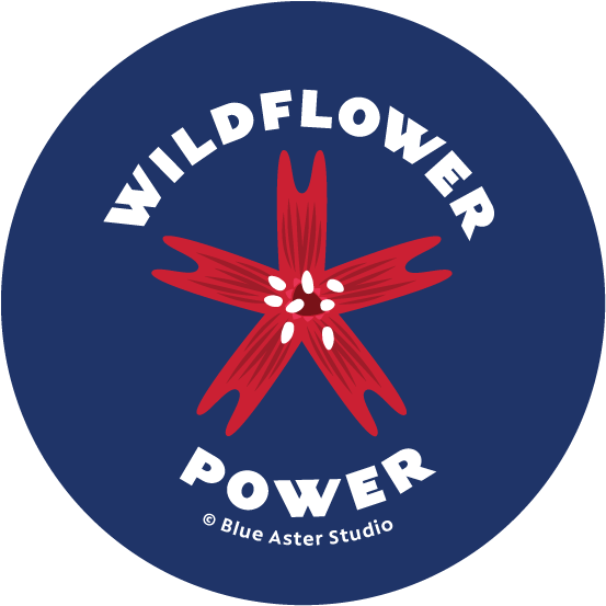 Pinback Button - Wildflower Power