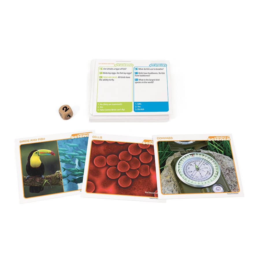 Game - Prof. Noggin Wonders of Science Card Game