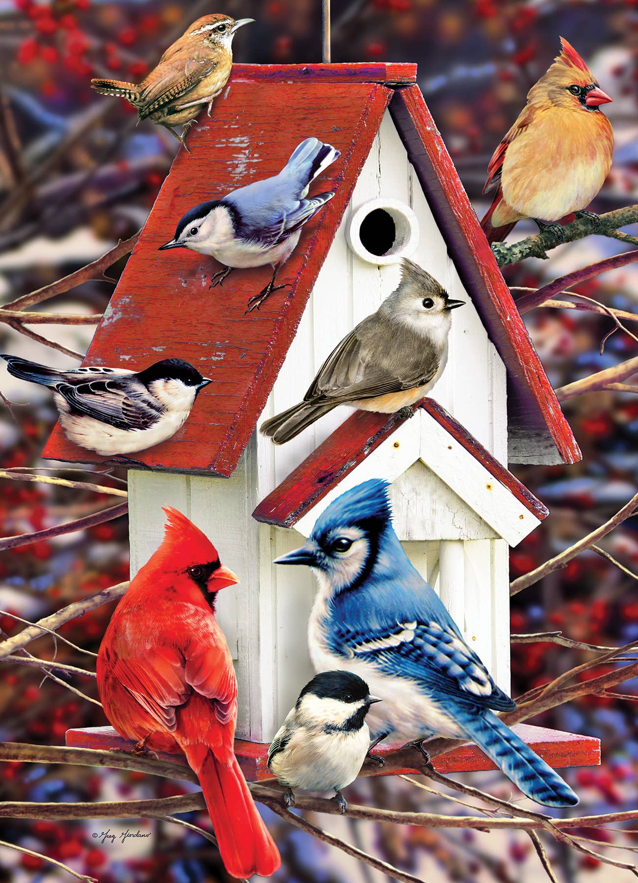 Puzzle - Winter Birdhouse (500-Piece)